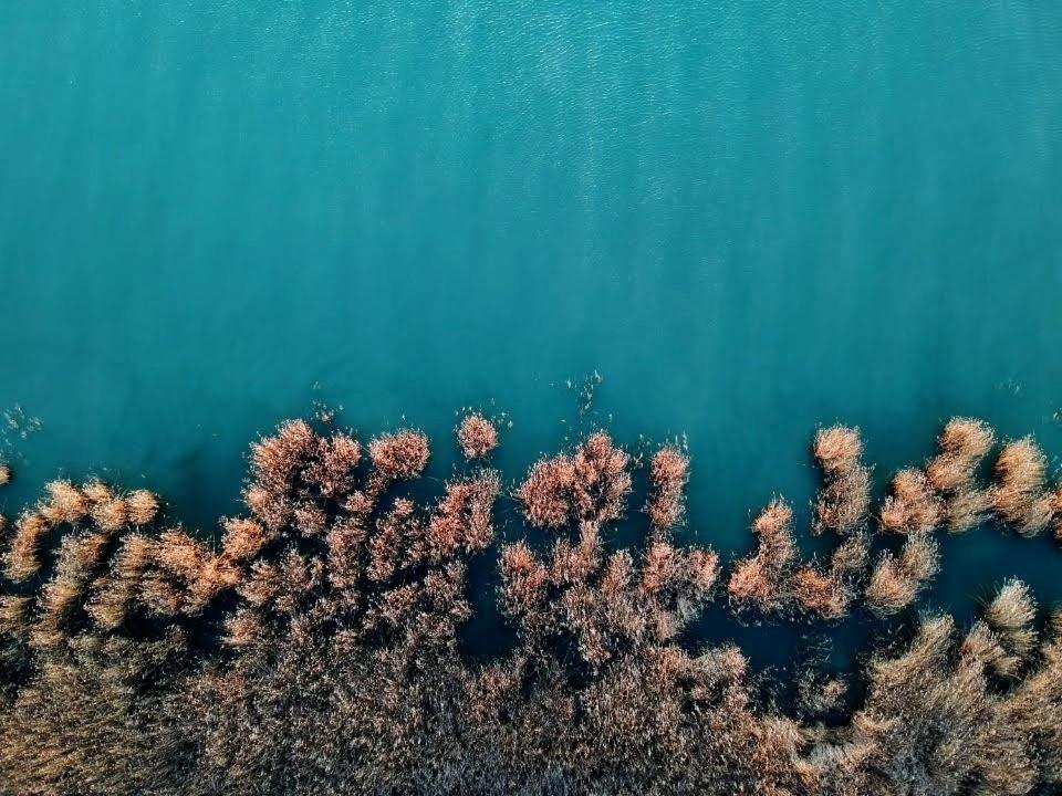 Hello Balaton Lejlighed Alsóörs Eksteriør billede